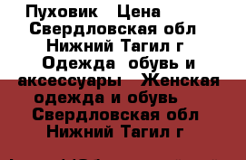 Пуховик › Цена ­ 500 - Свердловская обл., Нижний Тагил г. Одежда, обувь и аксессуары » Женская одежда и обувь   . Свердловская обл.,Нижний Тагил г.